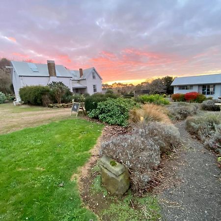 Robin Hoods Well Farm Stay Sassafras Экстерьер фото