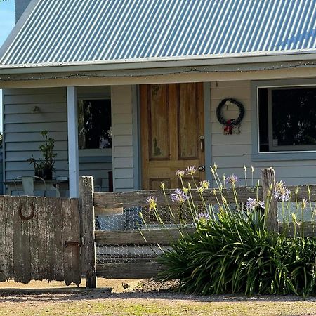 Robin Hoods Well Farm Stay Sassafras Экстерьер фото