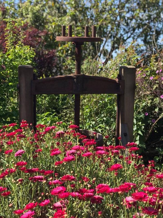Robin Hoods Well Farm Stay Sassafras Экстерьер фото