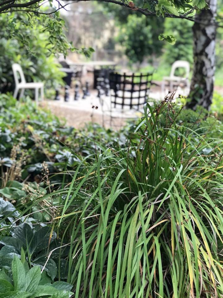 Robin Hoods Well Farm Stay Sassafras Экстерьер фото