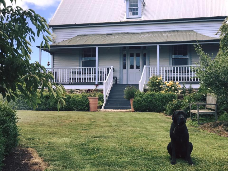 Robin Hoods Well Farm Stay Sassafras Экстерьер фото