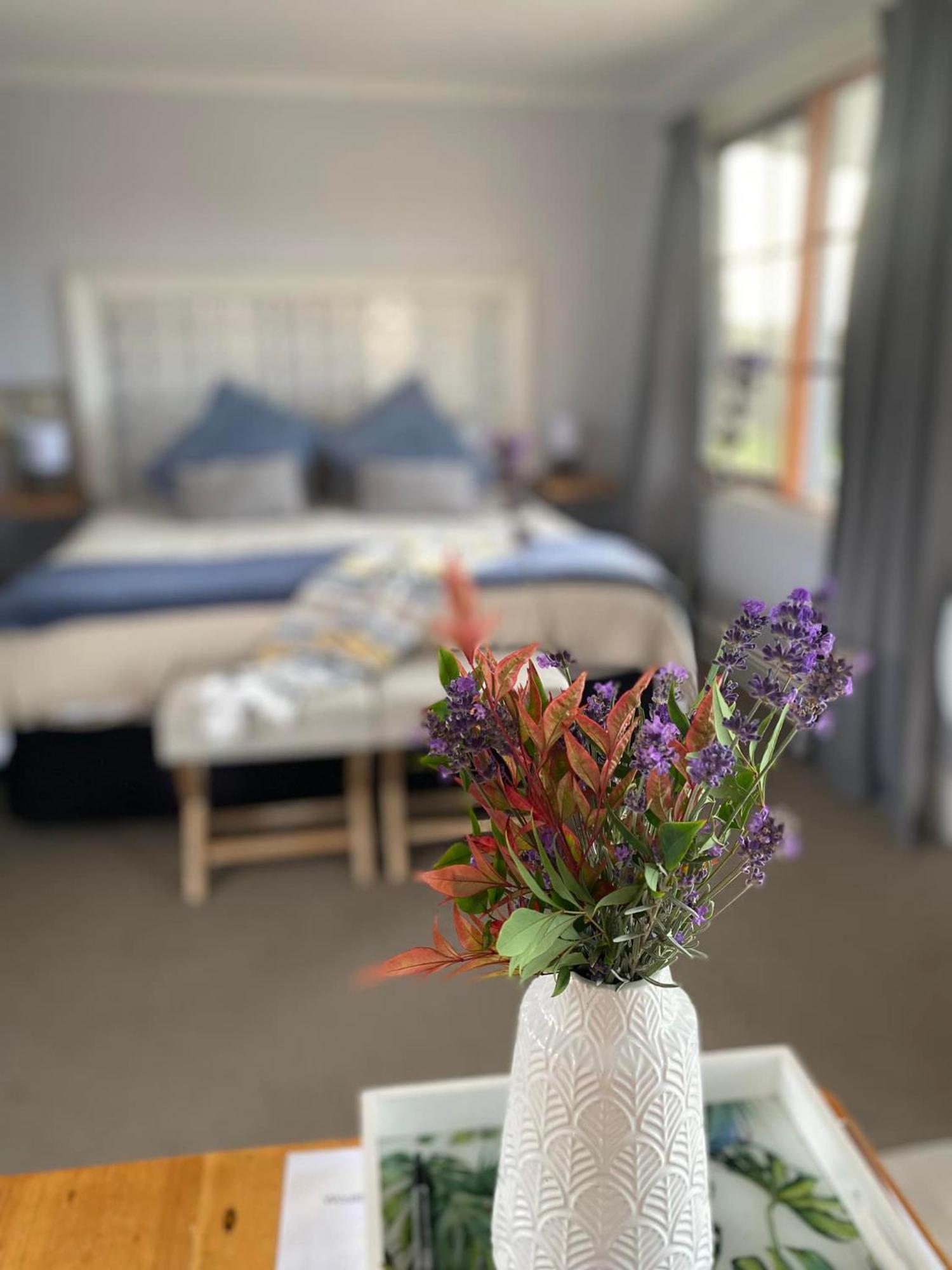 Robin Hoods Well Farm Stay Sassafras Экстерьер фото